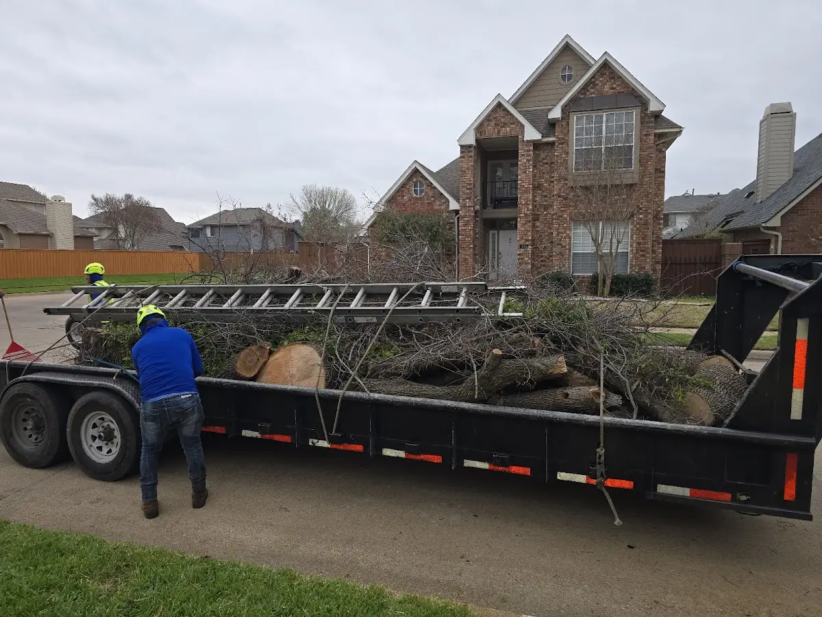 Expert Lot Clearing with proper safety equipment in Whitewater
